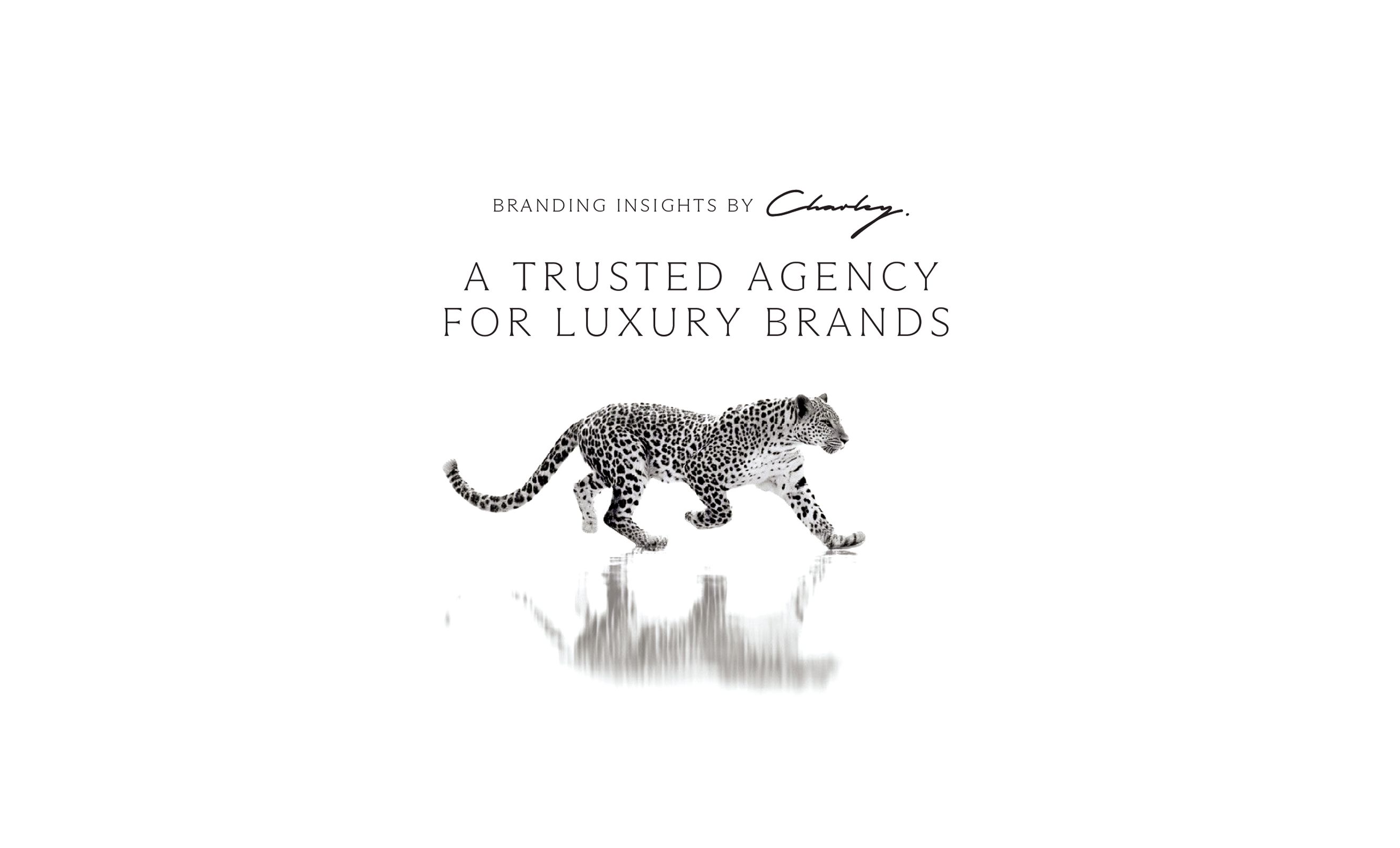 Beyond a Logo: What a Branding Agency Truly Builds