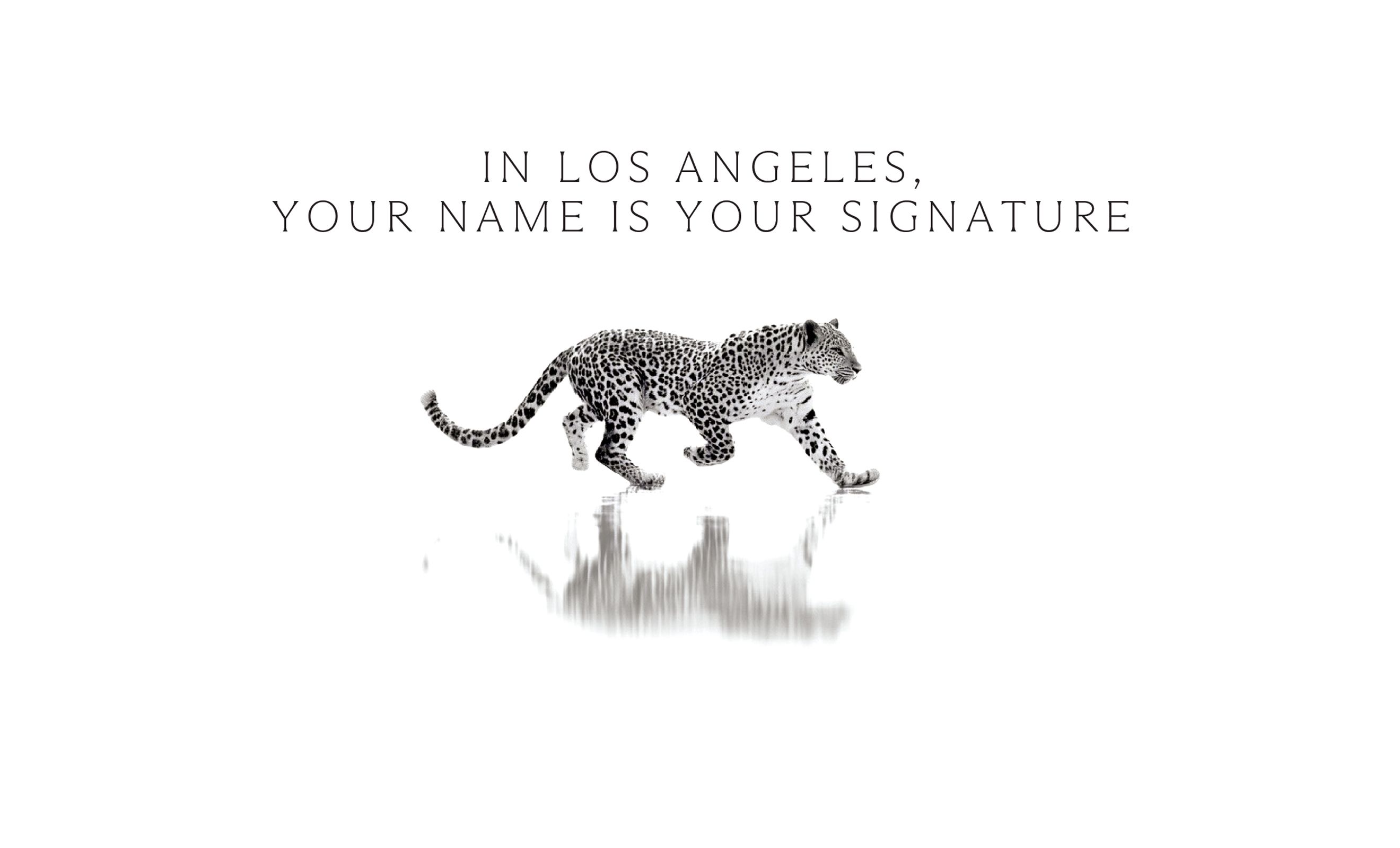 Why Los Angeles’ Leaders Invest in Personal Branding
