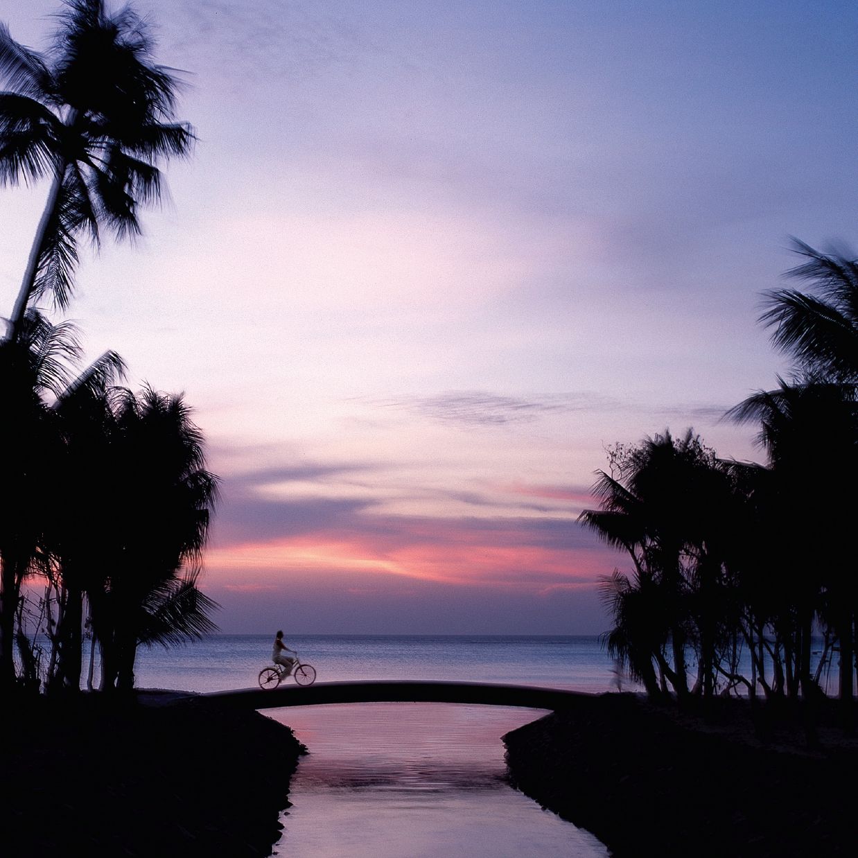 The Evhana | Gallery