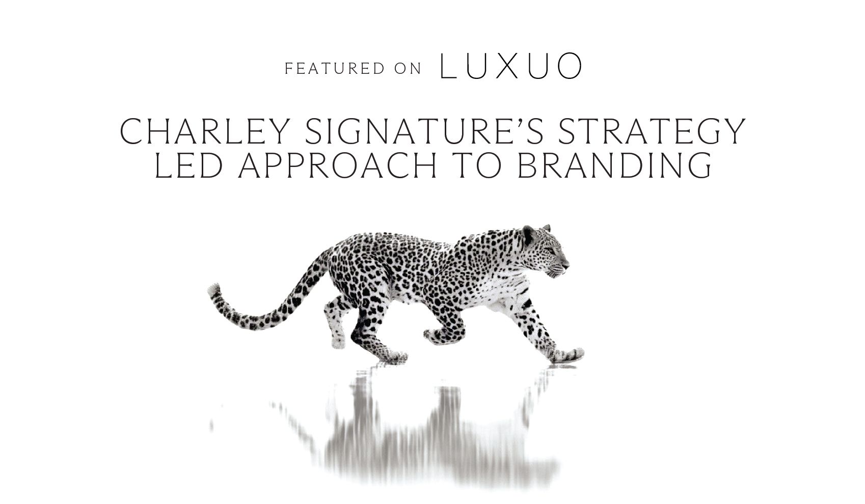 Charley SIGNATURE Featured in Luxuo | Branding Agency Miami