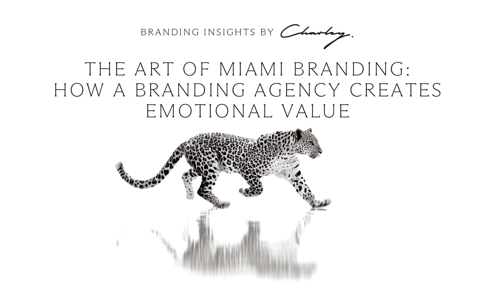 Branding Agency in Miami: How Brand Identity Creates Emotional Value