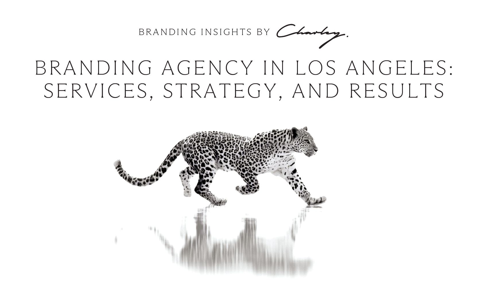 Luxury Lifestyle Branding in Los Angeles: From Entertainment to Hospitality