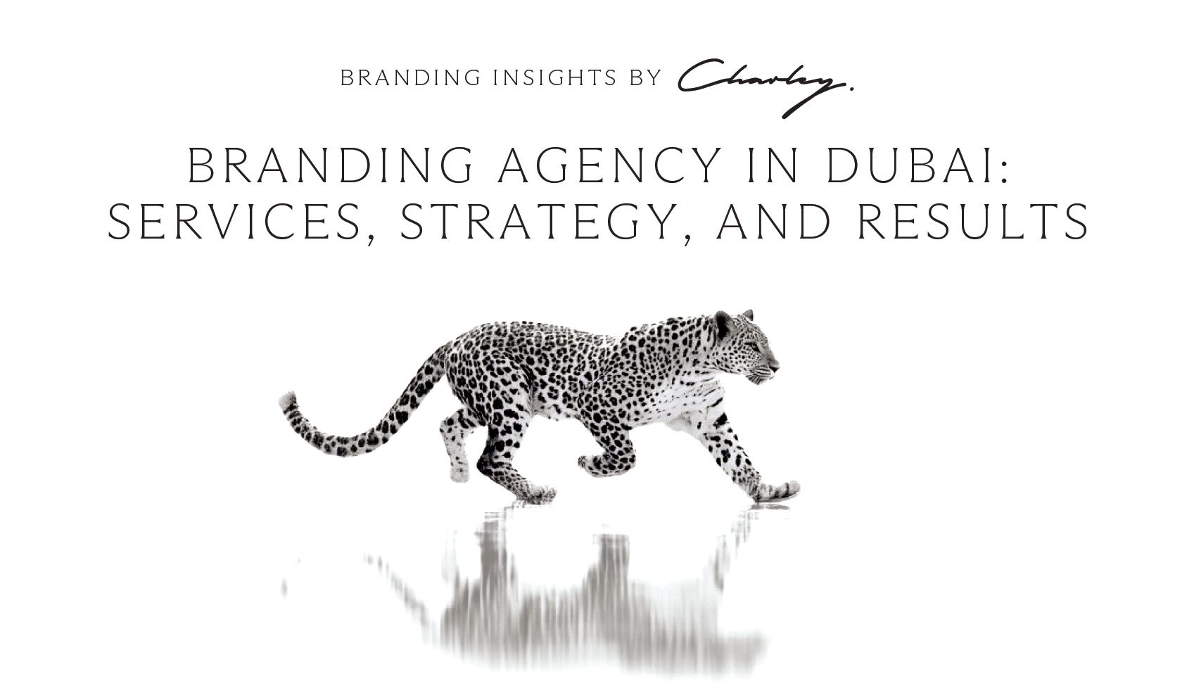Branding Agency in Dubai: Services, Strategy, and Results 