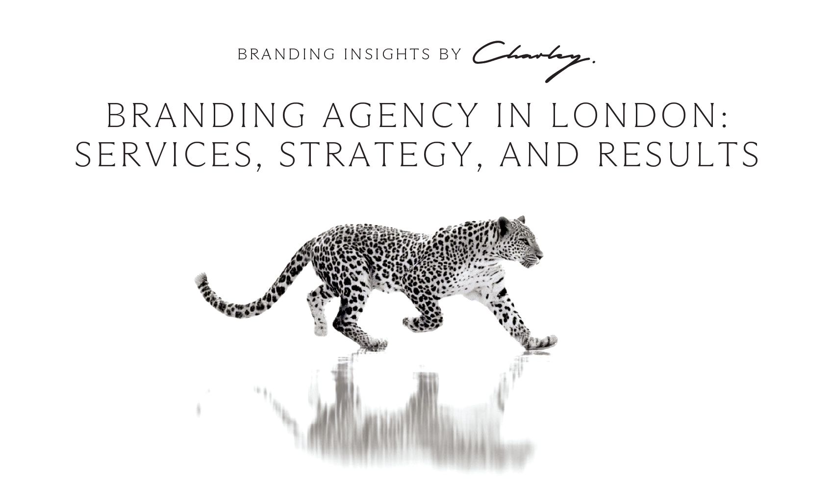 Branding Agency in London: Services, Strategy, and Results 