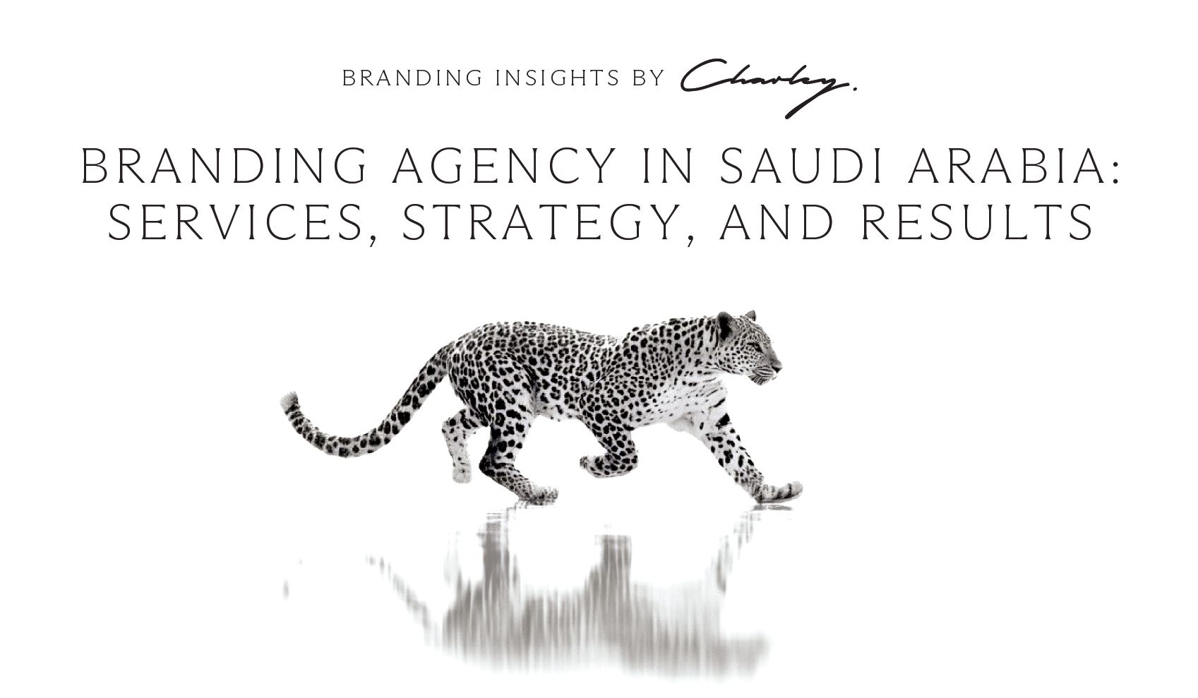 Branding Agency in Saudi Arabia: Services, Strategy, and Results 
