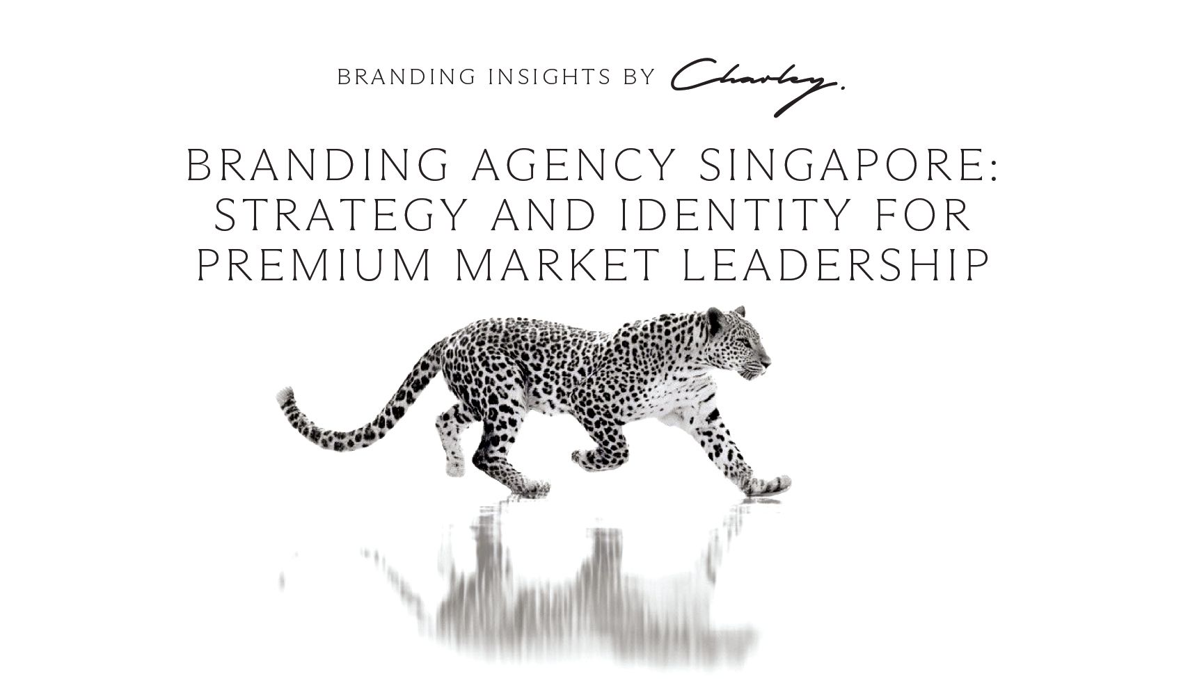 Branding Agency Singapore: Strategy and Identity for Premium Market Leadership