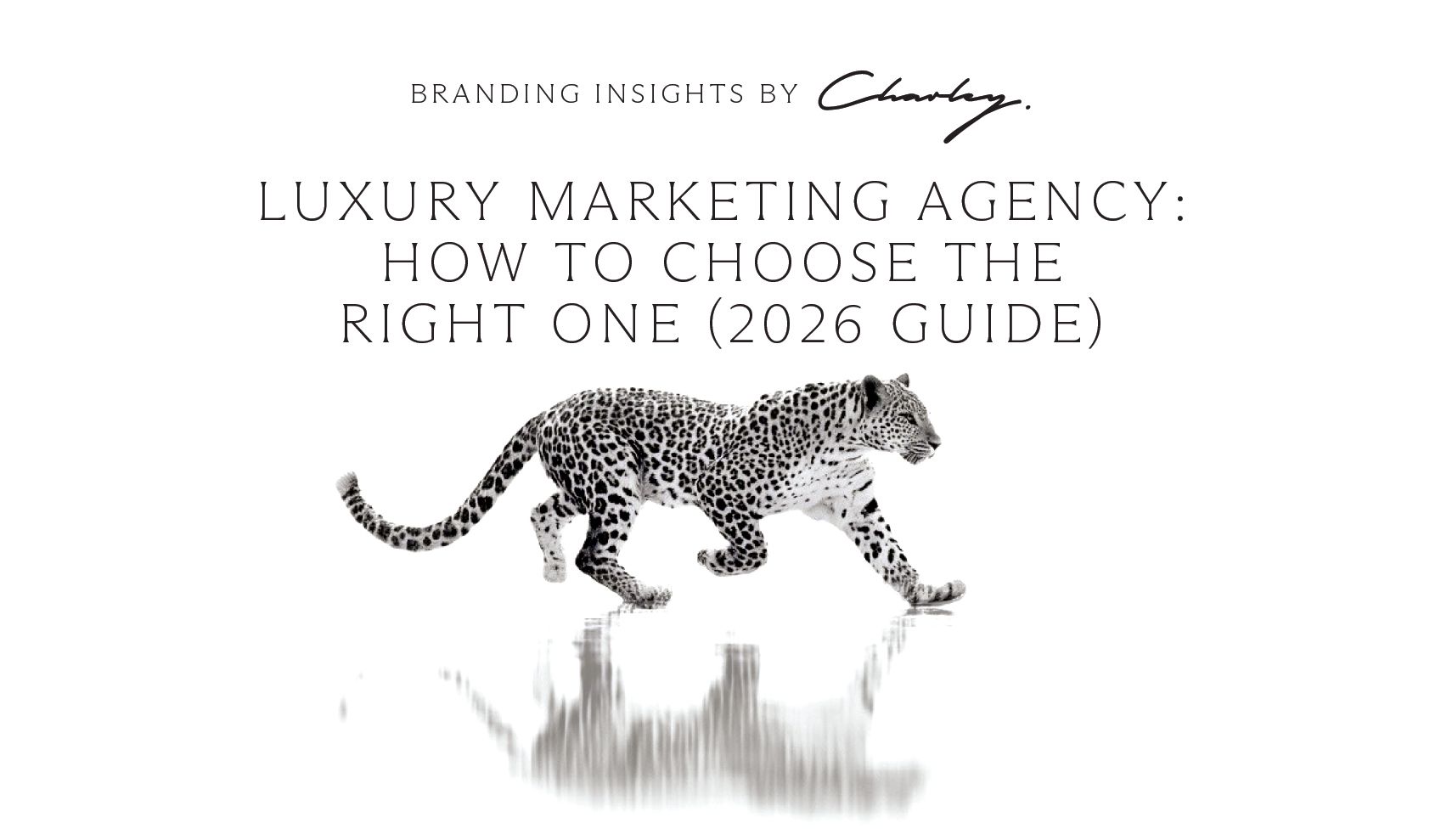 Luxury Marketing Agency Guide 2026 | Miami, Dubai, London, New York