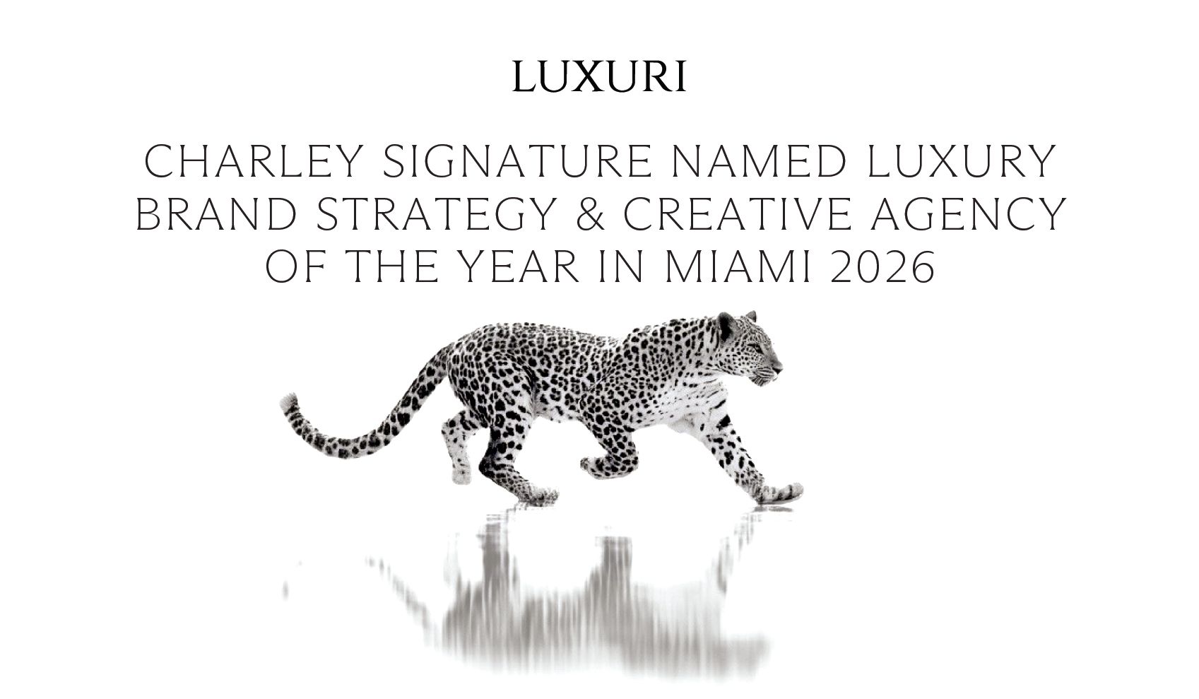Branding Agency Miami for Luxury Brands | 2026 Award Winner