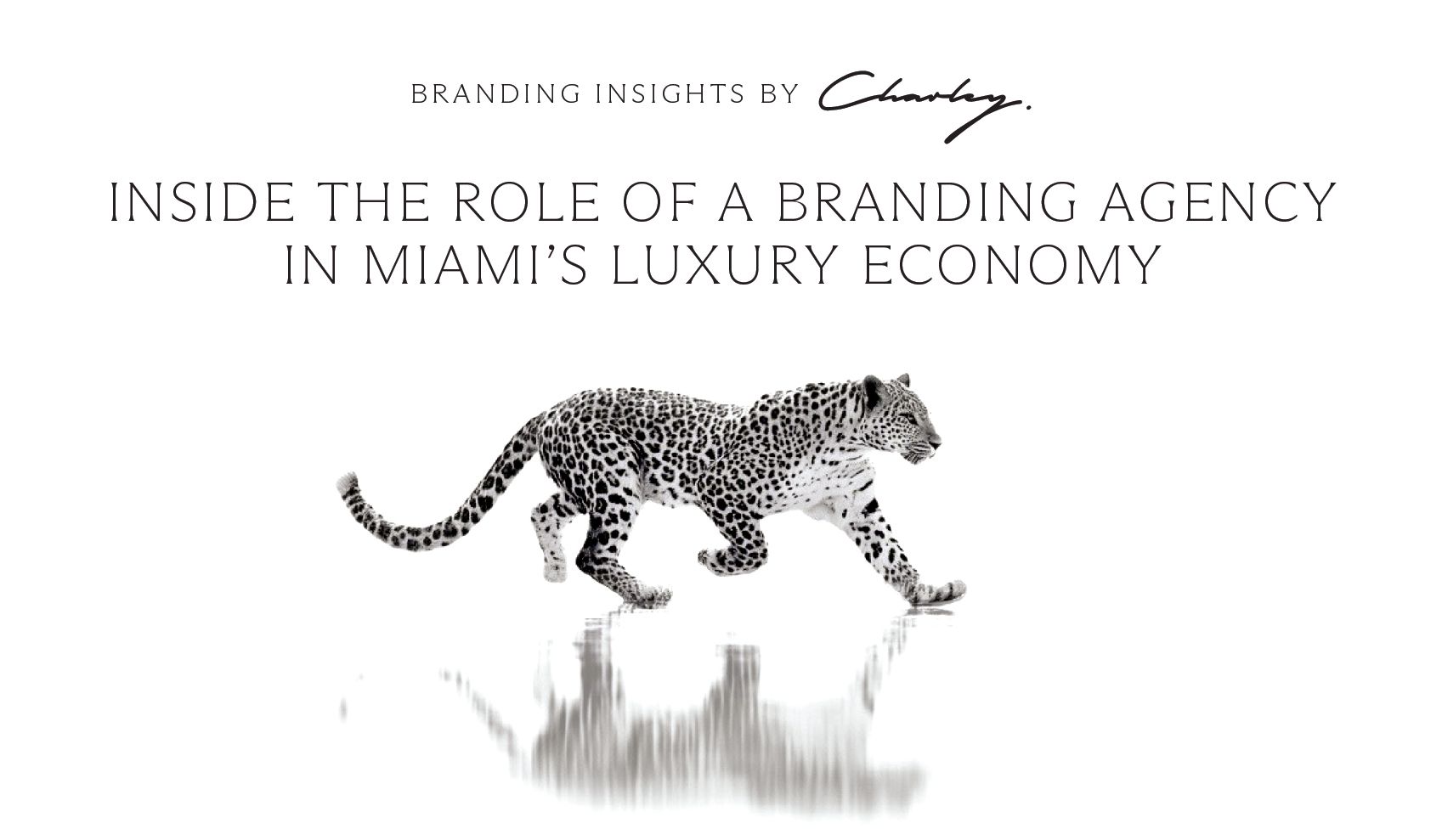 Inside the Role of a Branding Agency in Miami’s Luxury Economy