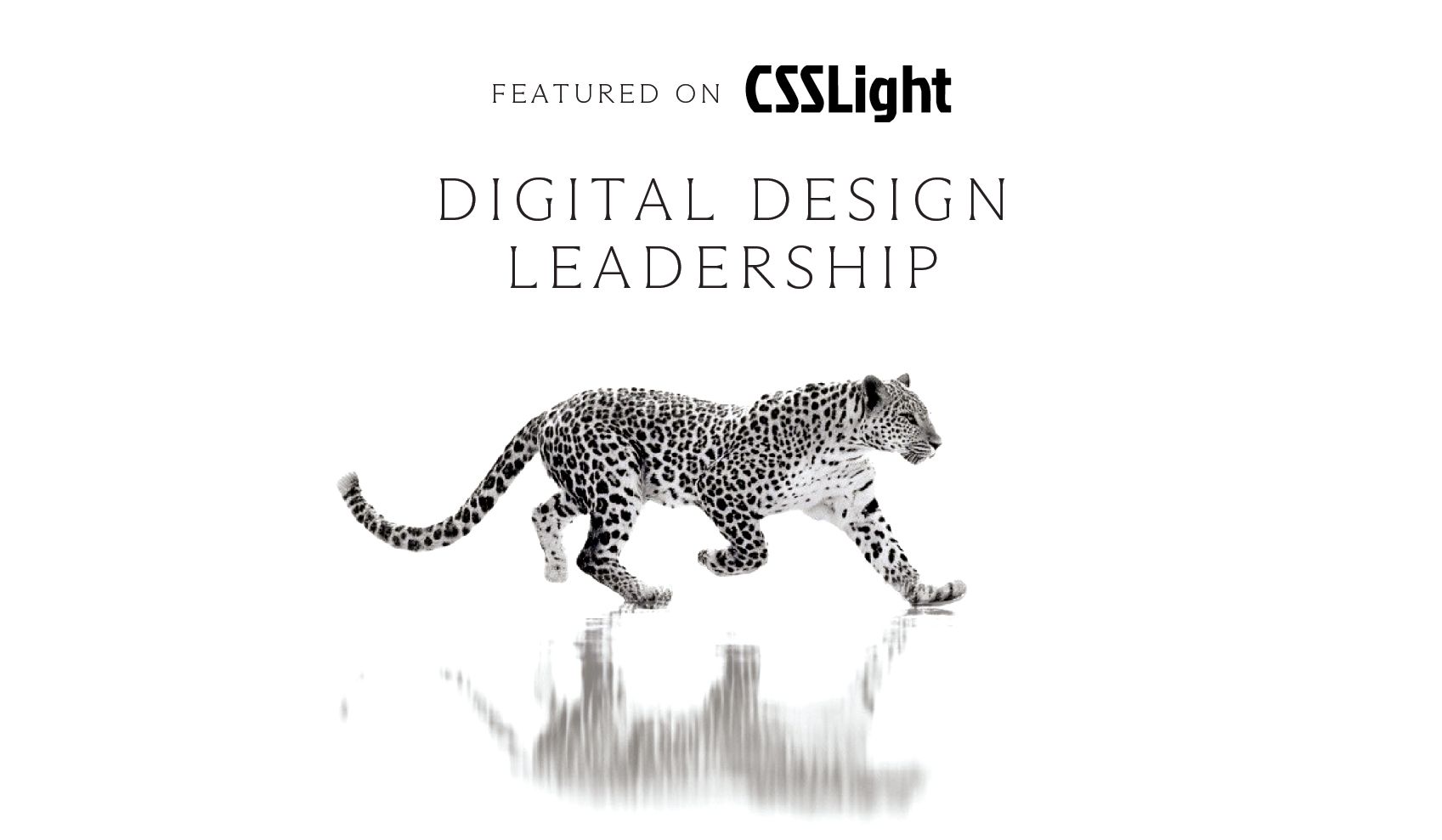 Charley SIGNATURE Featured on CSS Light | Digital Design Leadership