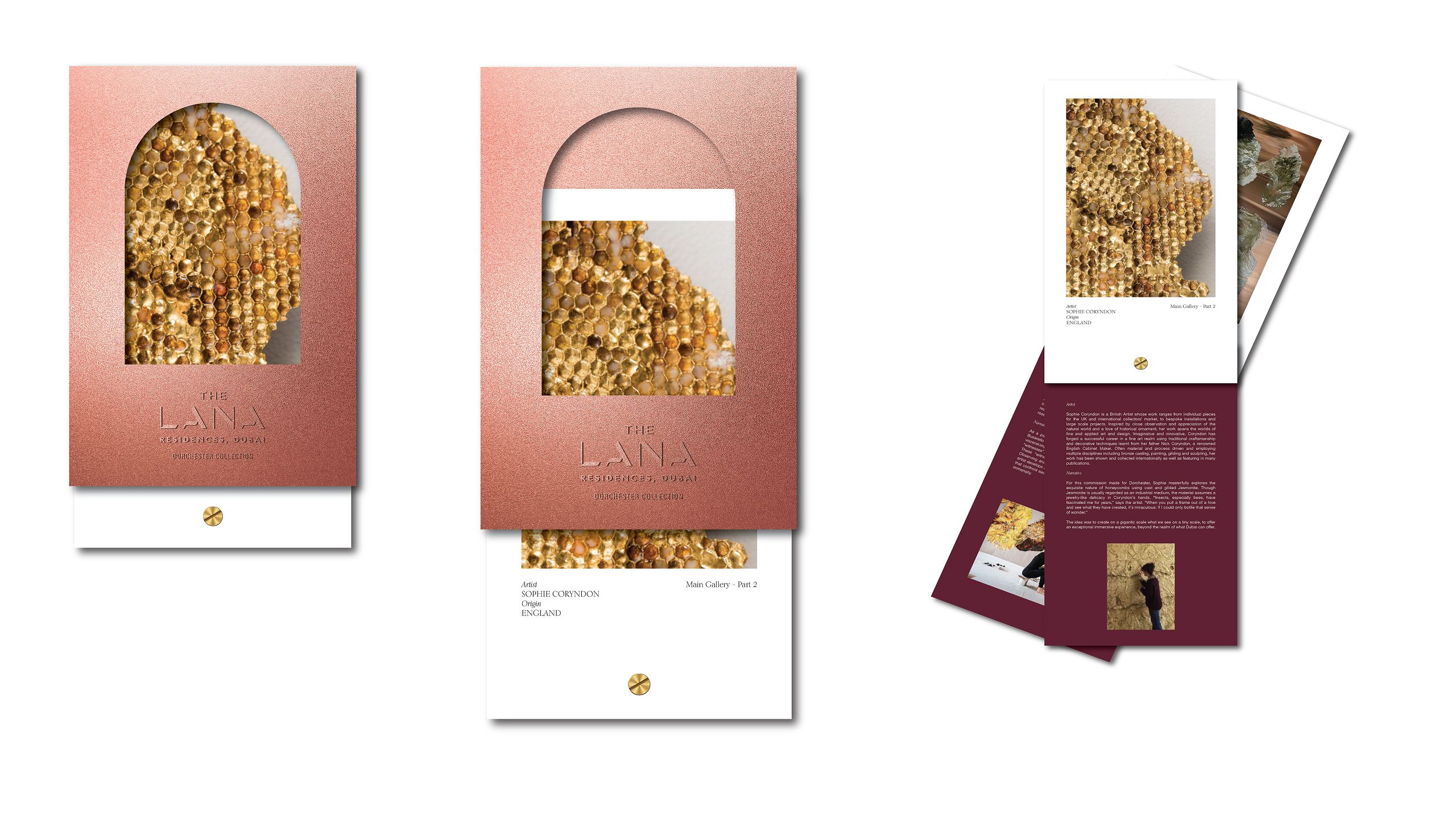 Dorchester | Banner Image