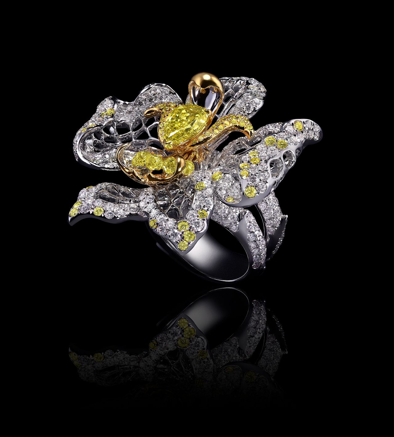 Iris Alexander Gallery