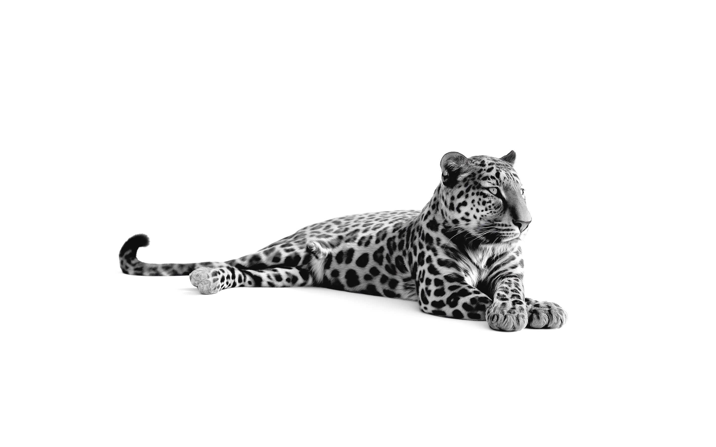 Luxury brand agency mobile_small.jpg