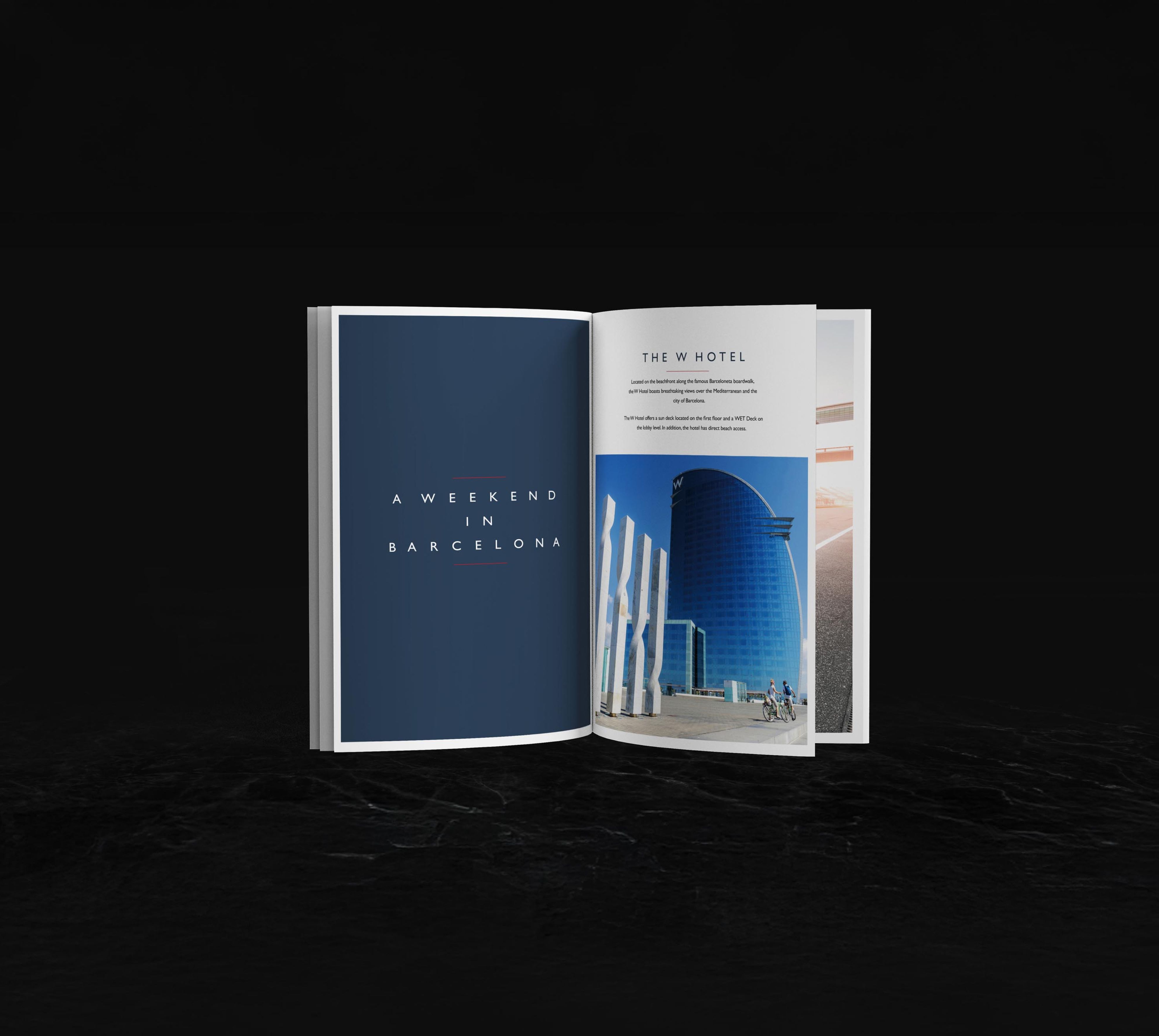 Rolls Royce | Portrait Image